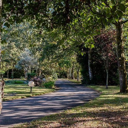 Parc De L'Aiguade Bed & Breakfast Saint-Paul-les-Dax Luaran gambar