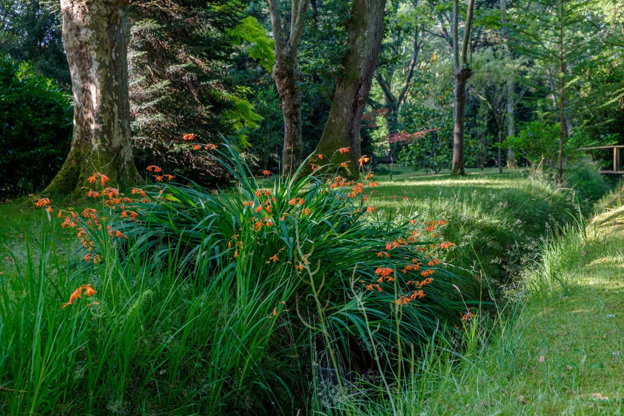 Parc De L'Aiguade Bed & Breakfast Saint-Paul-les-Dax Luaran gambar