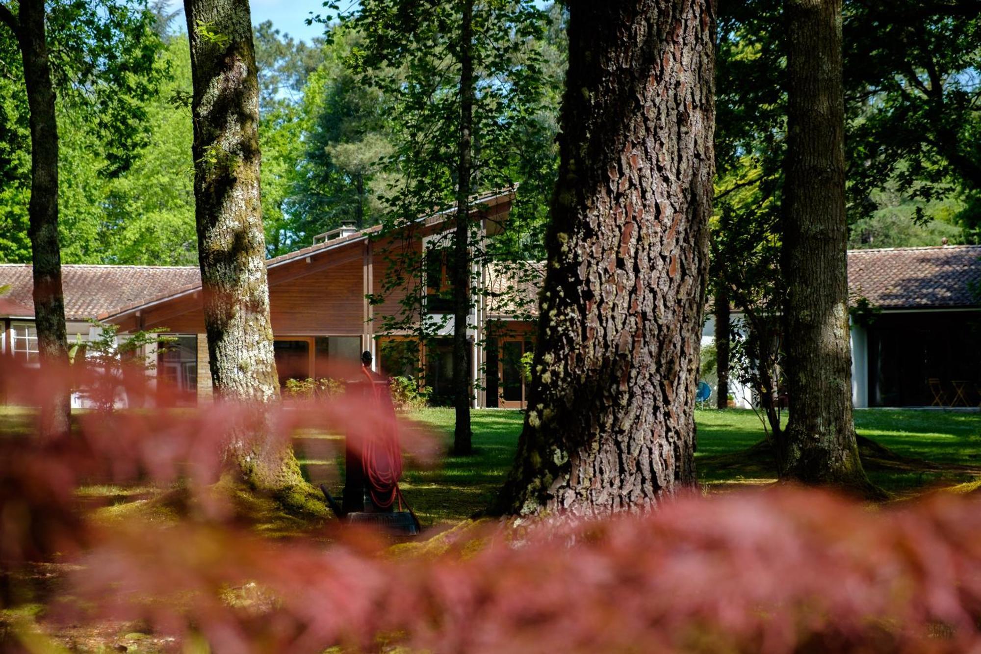 Parc De L'Aiguade Bed & Breakfast Saint-Paul-les-Dax Luaran gambar