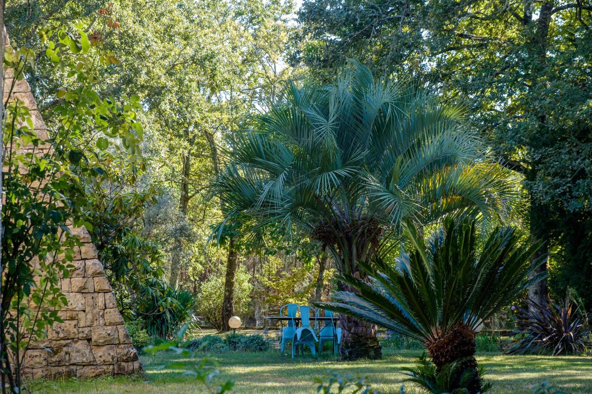 Parc De L'Aiguade Bed & Breakfast Saint-Paul-les-Dax Luaran gambar