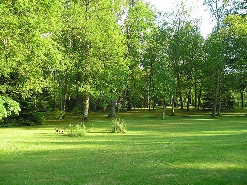 Parc De L'Aiguade Bed & Breakfast Saint-Paul-les-Dax Bilik gambar