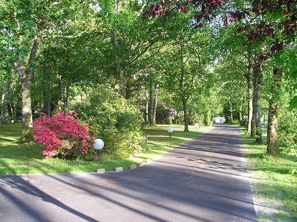 Parc De L'Aiguade Bed & Breakfast Saint-Paul-les-Dax Luaran gambar