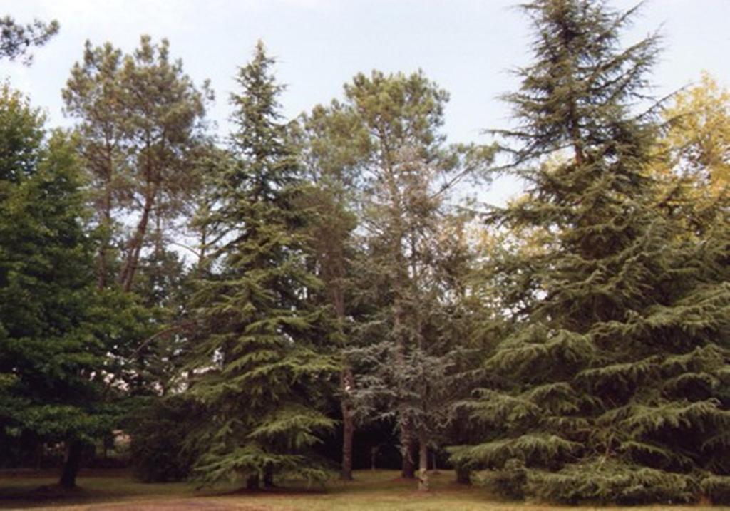 Parc De L'Aiguade Bed & Breakfast Saint-Paul-les-Dax Luaran gambar